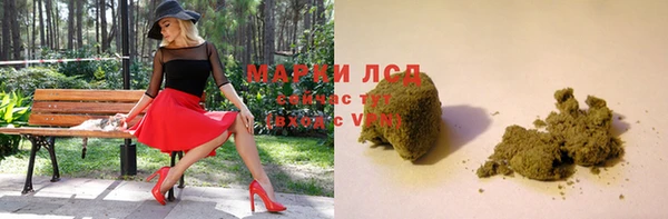 apvp Бородино