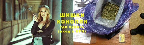 apvp Бородино