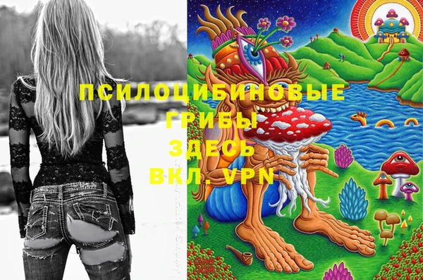 ешки Бугульма