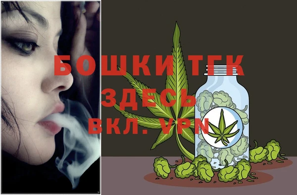 шишки Бронницы