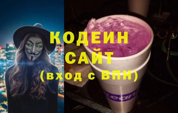 apvp Бородино