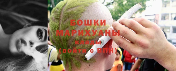 шишки Бронницы