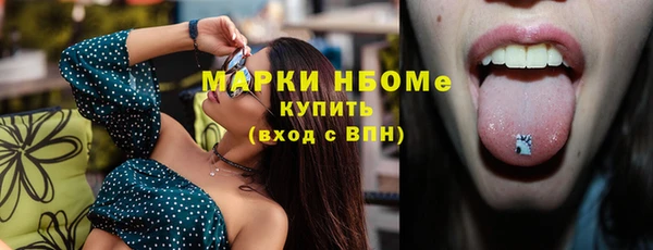 apvp Бородино