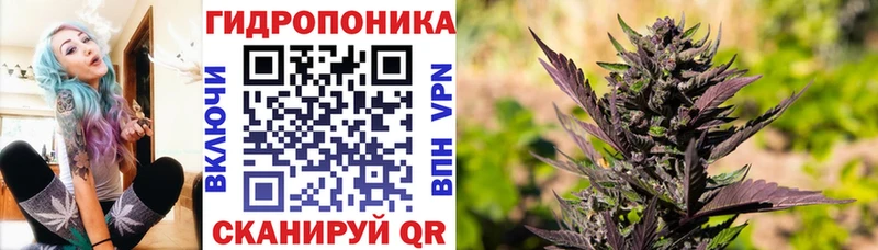 Бошки марихуана планчик  Армавир 